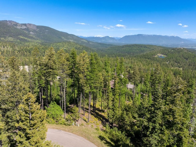 213 Ridge Run Ct, Whitefish, MT 59937