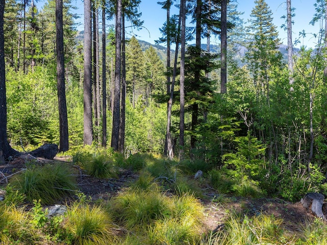 213 Ridge Run Ct, Whitefish, MT 59937