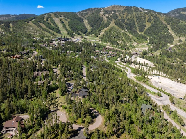 213 Ridge Run Ct, Whitefish, MT 59937