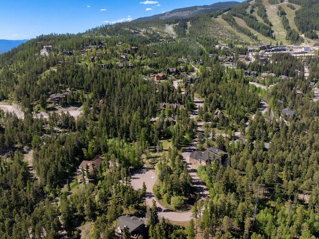 213 Ridge Run Ct, Whitefish, MT 59937