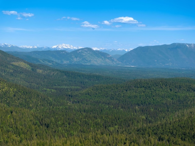 213 Ridge Run Ct, Whitefish, MT 59937