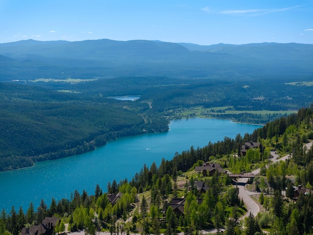 213 Ridge Run Ct, Whitefish, MT 59937