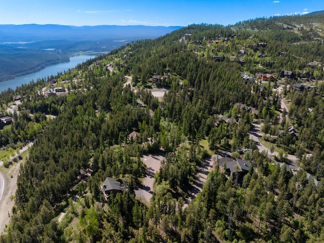 213 Ridge Run Ct, Whitefish, MT 59937