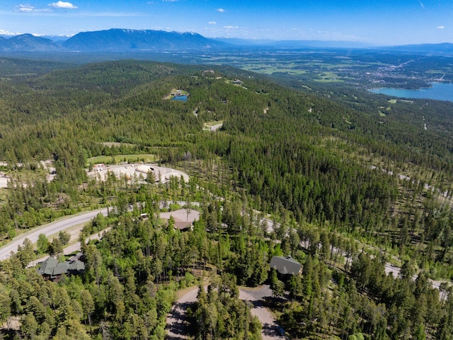 213 Ridge Run Ct, Whitefish, MT 59937