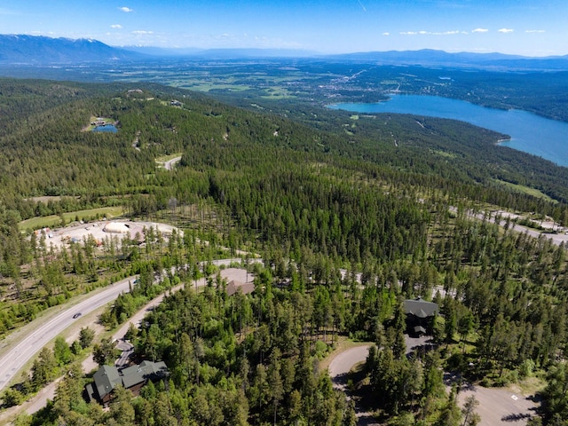 213 Ridge Run Ct, Whitefish, MT 59937