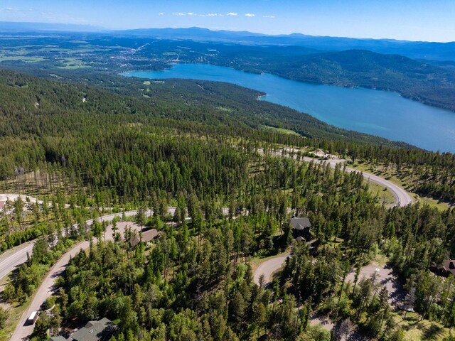 213 Ridge Run Ct, Whitefish, MT 59937