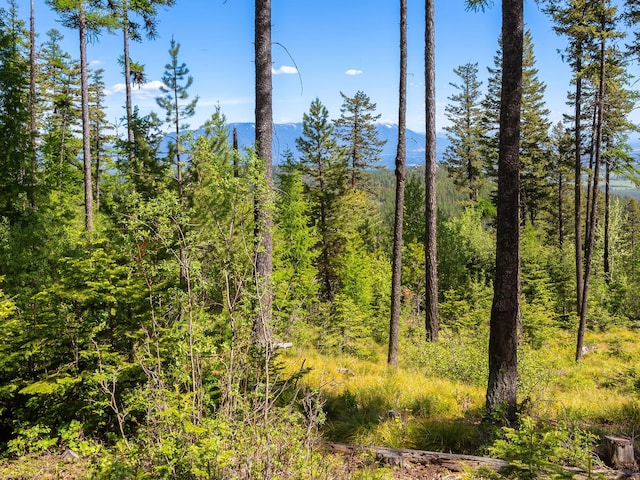 213 Ridge Run Ct, Whitefish, MT 59937
