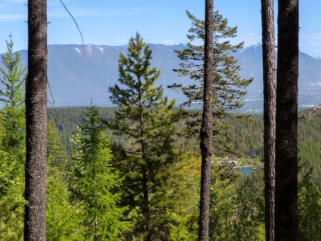 213 Ridge Run Ct, Whitefish, MT 59937