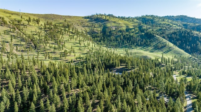 LOT12 Stonefly Rd, Clinton, MT 59825