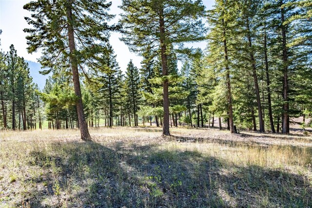 LOT12 Stonefly Rd, Clinton, MT 59825