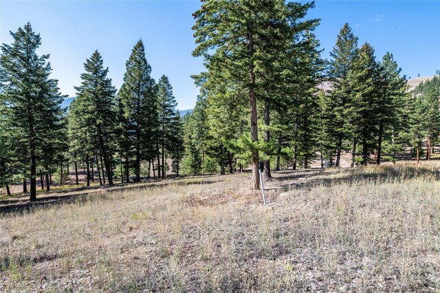 LOT12 Stonefly Rd, Clinton, MT 59825