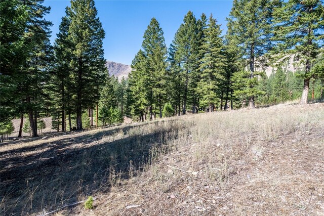 LOT12 Stonefly Rd, Clinton, MT 59825