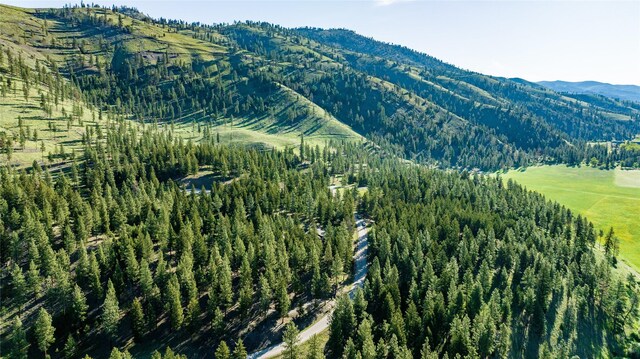 LOT12 Stonefly Rd, Clinton, MT 59825