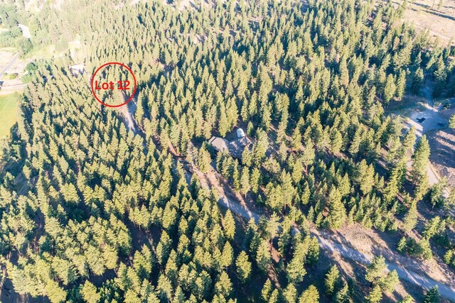 LOT12 Stonefly Rd, Clinton, MT 59825