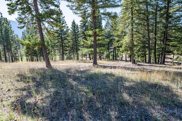 LOT12 Stonefly Rd, Clinton, MT 59825