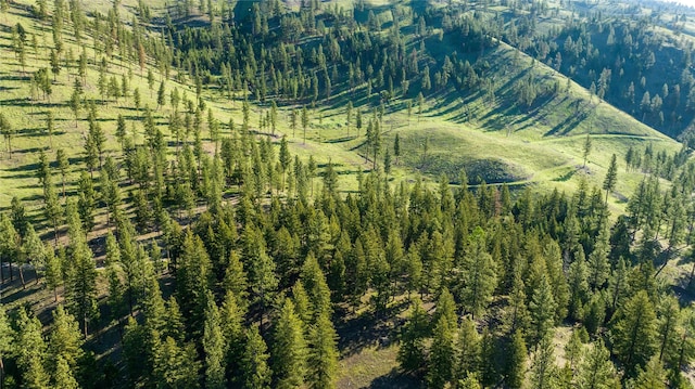 LOT16 Stonefly Rd, Clinton, MT 59825