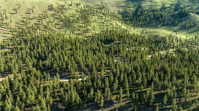 LOT16 Stonefly Rd, Clinton, MT 59825