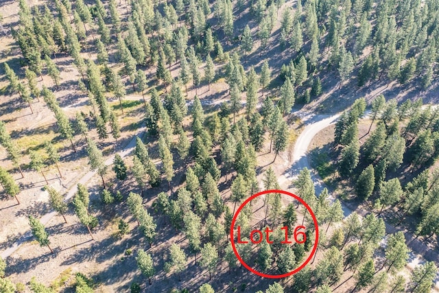 LOT16 Stonefly Rd, Clinton, MT 59825