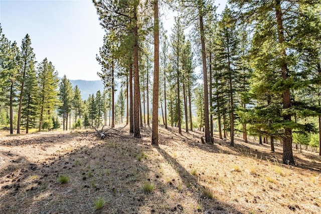 LOT16 Stonefly Rd, Clinton, MT 59825