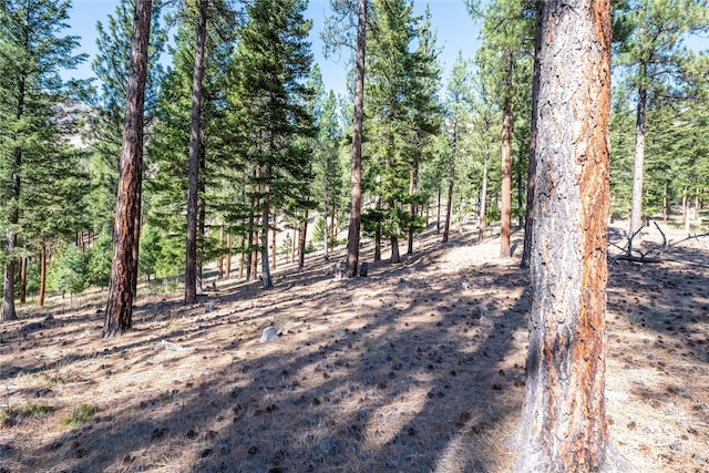 LOT16 Stonefly Rd, Clinton, MT 59825