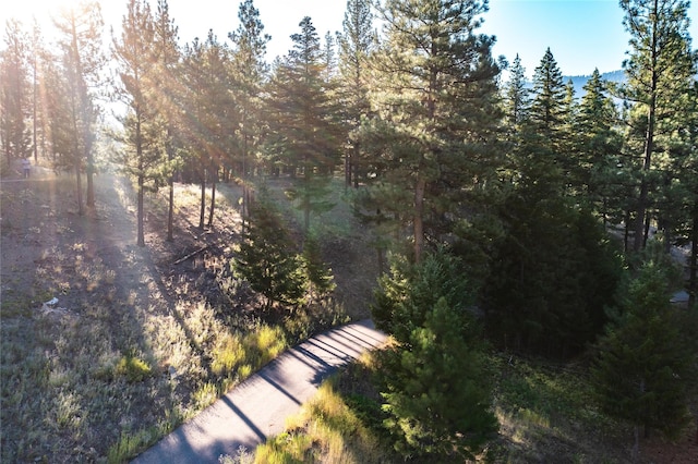 LOT16 Stonefly Rd, Clinton, MT 59825