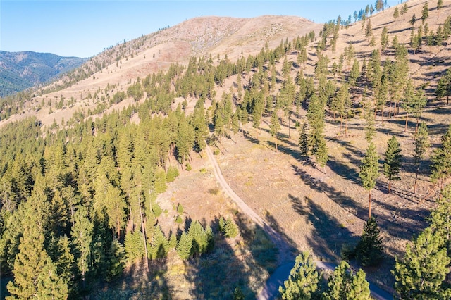 LOT16 Stonefly Rd, Clinton, MT 59825