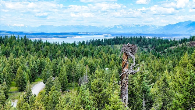 NHN Linda Vista Dr, Rexford, MT 59930