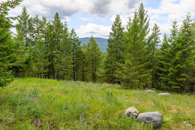 NHN Linda Vista Dr, Rexford, MT 59930