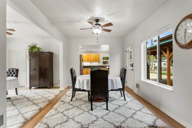 505 N 4th St, Hamilton, MT 59840 - dining space with ceiling fan, light wood-style floors, and baseboards