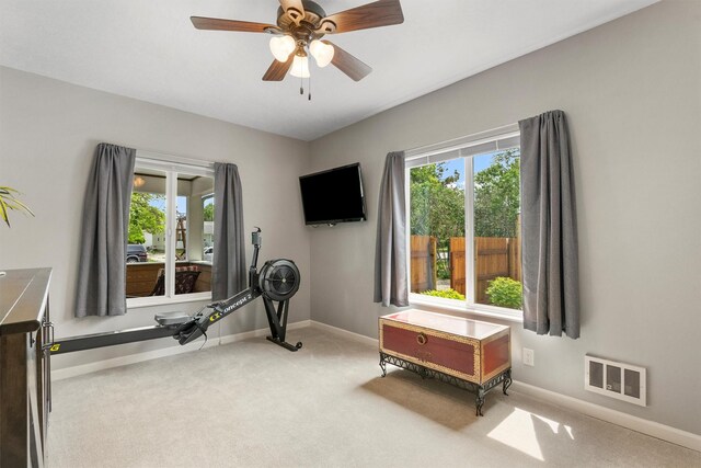 505 N 4th St, Hamilton, MT 59840 - exercise room with baseboards, healthy amount of natural light, carpet, and a ceiling fan
