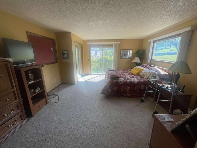 12 Country Club Dr Unit 16, Polson, MT 59860 - carpeted bedroom featuring access to outside, multiple windows, and a textured ceiling