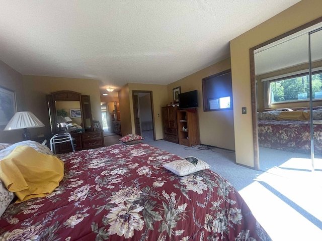 12 Country Club Dr Unit 16, Polson, MT 59860 - bedroom with carpet, a textured ceiling, and a closet