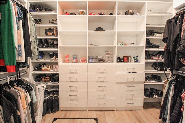 224 Columbia Meadows Dr, Columbia Falls, MT 59912 - spacious closet with wood finished floors