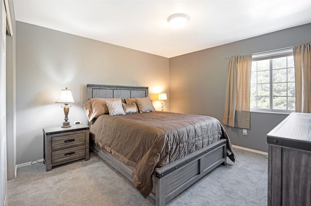 2322 Mary Jane Blvd, Missoula, MT 59808 - bedroom with light carpet and baseboards