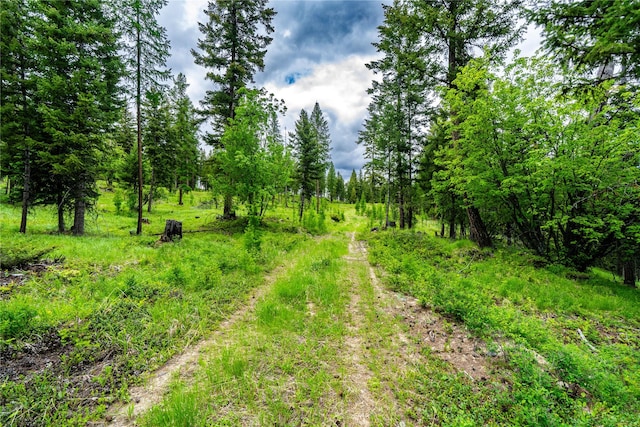 NHN Morning Sky Drive, Trego, MT 59934