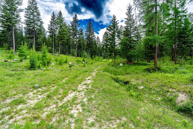 NHN Morning Sky Drive, Trego, MT 59934