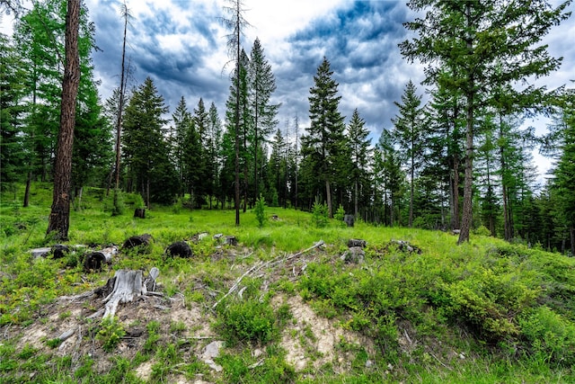 NHN Morning Sky Drive, Trego, MT 59934