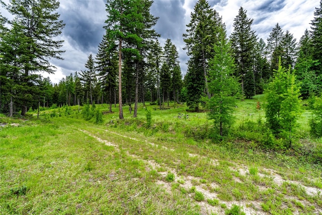 NHN Morning Sky Drive, Trego, MT 59934