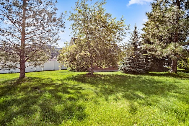 1 Cherry Ct, Clancy, MT 59634 - view of yard