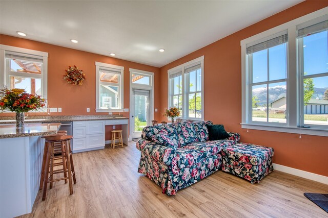 306 Mansion View Loop, Hamilton, MT 59840 - living room with light wood-type flooring and recessed lighting