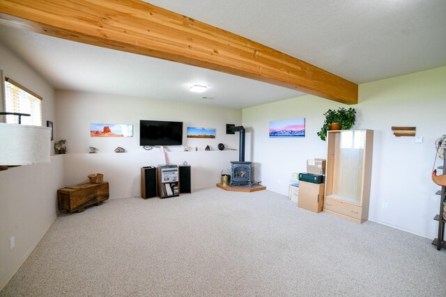 265 Fisher Rd, Great Falls, MT 59405 - living room with a wood stove and carpet