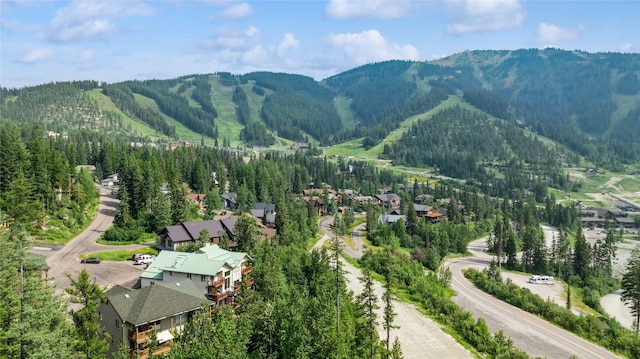 322 Wood Run Dr Unit B, Whitefish, MT 59937 - mountain view featuring a forest