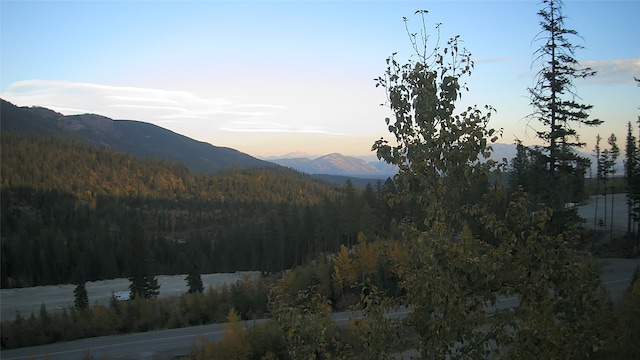 322 Wood Run Dr Unit B, Whitefish, MT 59937 - mountain view with a heavily wooded area