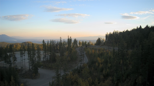 322 Wood Run Dr Unit B, Whitefish, MT 59937 - mountain view featuring a heavily wooded area