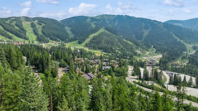 322 Wood Run Dr Unit B, Whitefish, MT 59937 - mountain view with a forest