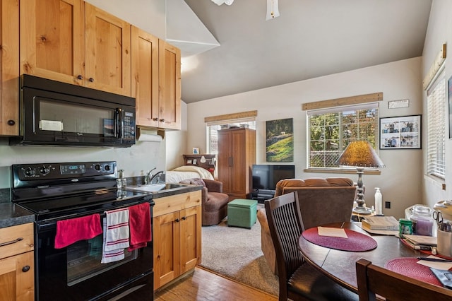 119 5th Ave W, Kalispell, MT 59901 - kitchen featuring black appliances, a sink, plenty of natural light, and light wood-style flooring