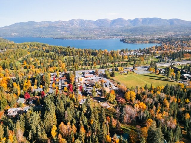 1331 Nelson Ln Cabin I, Unit Cabin I, Whitefish, MT 59937 - aerial overview of property's location with a water and mountain view and a heavily wooded area