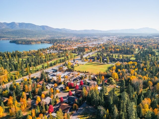1331 Nelson Ln Cabin I, Unit Cabin I, Whitefish, MT 59937 - aerial view of property's location featuring a water and mountain view and a forest