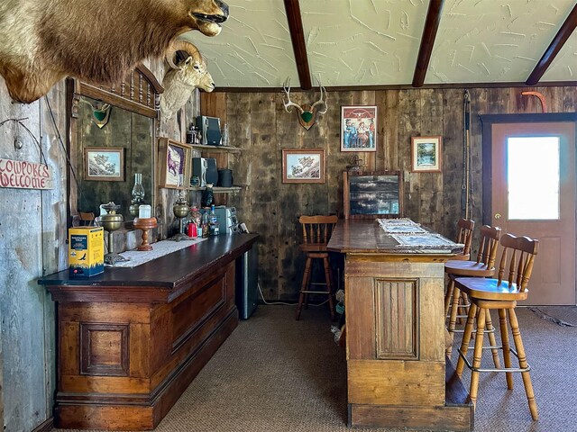 481 24th Rd NE, Dutton, MT 59433 - bar with carpet, wood walls, and lofted ceiling