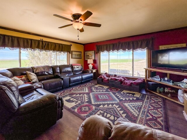 481 24th Rd NE, Dutton, MT 59433 - living room with plenty of natural light, ceiling fan, and ornamental molding